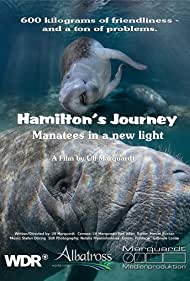 Hamiltons Journey Manatees in a New Light (2014) Free Movie