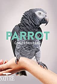 Parrot Confidential (2013) Free Movie M4ufree