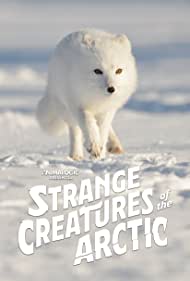 Strange Creatures of the Arctic (2022) Free Movie