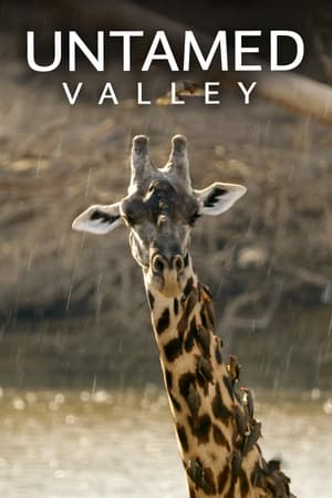 Untamed Valley (2017-) M4uHD Free Movie