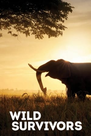 Wild Survivors (2017-) M4uHD Free Movie