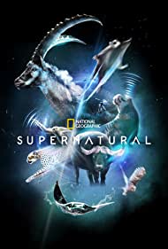 SuperNatural (2022-) M4uHD Free Movie
