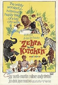 Zebra in the Kitchen (1965) Free Movie