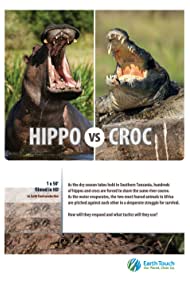 Hippo vs Croc (2014) Free Movie