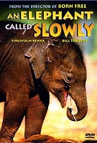 An Elephant Called Slowly (1970) Free Movie