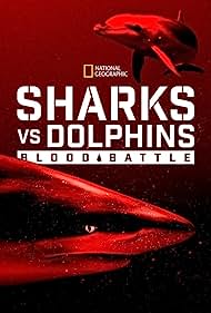 Sharks vs Dolphins Blood Battle (2020) Free Movie