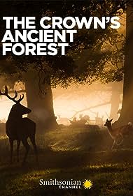 The Crowns Ancient Forest (2021) Free Movie M4ufree