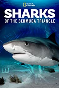 Sharks of the Bermuda Triangle (2020) M4uHD Free Movie
