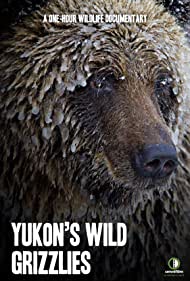 Yukons Wild Grizzlies (2021) Free Movie