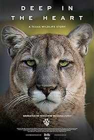 Deep in the Heart A Texas Wildlife Story (2022) Free Movie
