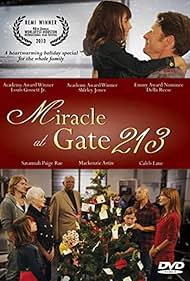 Miracle at Gate 213 (2013) Free Movie