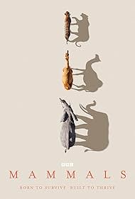 Mammals (2024) M4uHD Free Movie