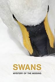 Swans Mystery of the Missing (2019) M4uHD Free Movie