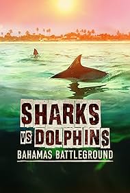 Sharks vs Dolphins Bahamas Battleground (2023) M4uHD Free Movie