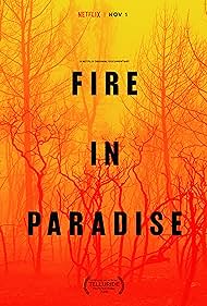 Fire in Paradise (2019) Free Movie