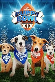 Puppy Bowl XIX (2023) Free Movie M4ufree