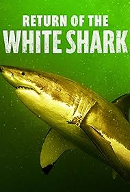 Return of the White Shark (2023) Free Movie