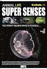 Super Senses (2015–) Free Movie