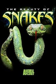 Beauty of Snakes (2003) M4uHD Free Movie