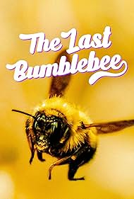 The Last Bumblebee (2024) M4uHD Free Movie
