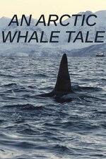 An Arctic Whale Tale (2022) M4uHD Free Movie