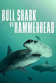 Bull Shark Vs Hammerhead (2023) M4uHD Free Movie