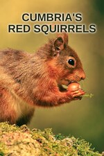 Cumbrias Red Squirrels (2024) M4uHD Free Movie