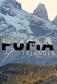 Into the Puma Triangle (2020) M4uHD Free Movie