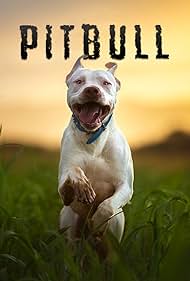 Pitbull (2018) Free Movie M4ufree