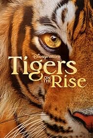 Tigers on the Rise (2024) M4uHD Free Movie