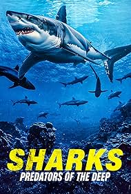 Sharks Predators of the Deep (2024) M4uHD Free Movie