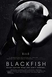 Blackfish (2013) Free Movie