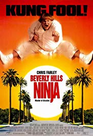 Beverly Hills Ninja (1997) Free Movie