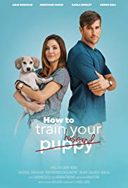 How to Train Your Husband or (How to Pick Your Second Husband First) (2018) M4uHD Free Movie