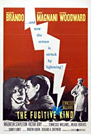 The Fugitive Kind (1960) Free Movie