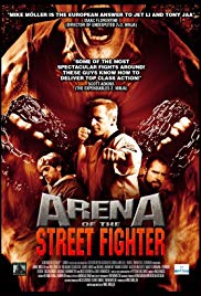 Urban Fighter (2013) Free Movie