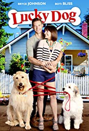 Lucky Dog (2014) Free Movie