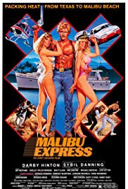 Malibu Express (1985) Free Movie