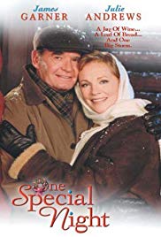 One Special Night (1999) Free Movie