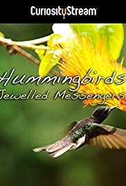 Hummingbirds Jewelled Messengers (2012) Free Movie