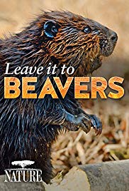 Leave It to Beavers (2014) Free Movie M4ufree