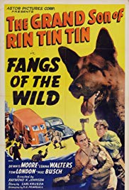 Fangs of the Wild (1939) Free Movie