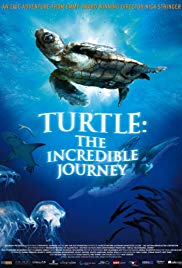 Turtle: The Incredible Journey (2009) Free Movie M4ufree