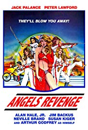 Angels Brigade (1979) Free Movie